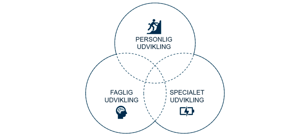 Model_Holistisk udvikling